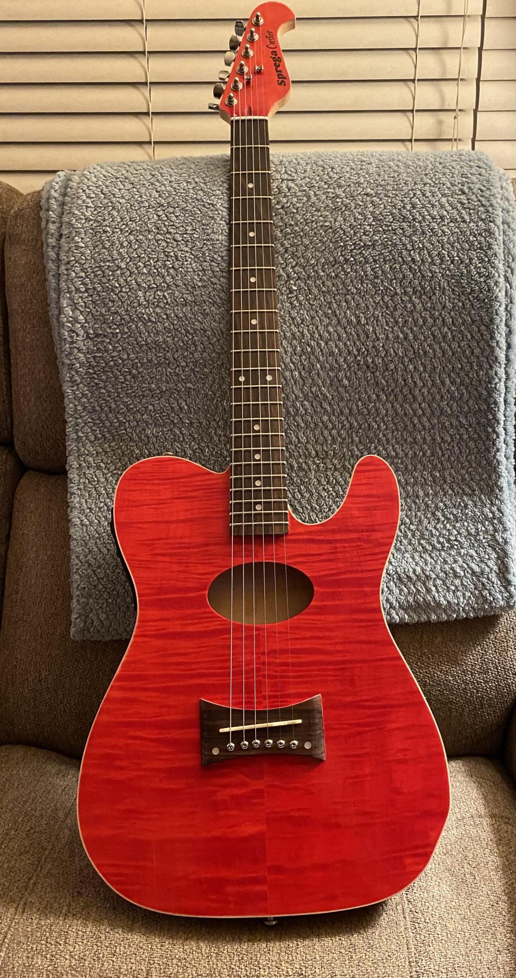 Aruyne E. Acoustic T-style build - front view